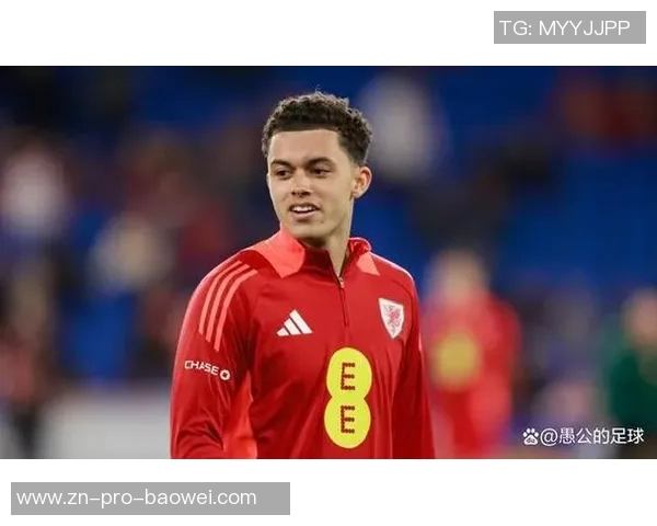 约翰逊与格拉斯纳会面在即转会事宜将最终敲定